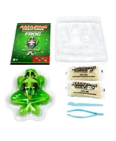 World Tech Toys Amazing Creatures Synthetic Dissection Kit - Frog