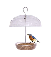 Cole's Bountiful Bowl Polycarbonate Wild Bird Bowl Feeder, Clear, 12in