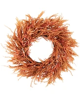 Northlight Peachy Pampas Grass Artificial Fall Harvest Wreath 24-Inch - Unlit