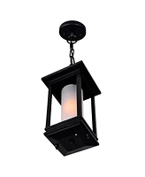 Cwi Lighting 16" Metal Granville 1 Light Outdoor Hanging Light