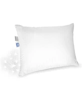 East Coast Bedding Medium Down Pillow 600 Fill Power Queen Pack of 1