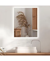 Homlux Rectangular Led Mirror