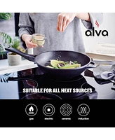 Alva Usa Energy ns Wok