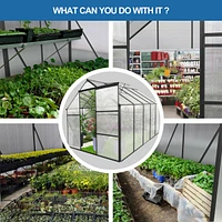 Durable 6x10 Ft Polycarbonate Greenhouse