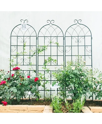 Streamdale Furniture Metal Garden Trellis 71" x 19.7" for Climbing Plants