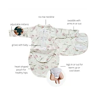 embe Baby Hat And Long Sleeve Swaddle Sack Bundle