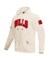 Pro Standard Men's Chicago Bulls Triple Tonal Dk Pullover Hoodie