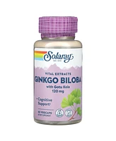 Solaray Vital Extracts Ginkgo Biloba With Gotu Kola 120 mg