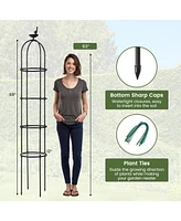 2-Pack Garden Obelisk Trellis for Climbing Plants-Black