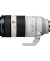 Sony Alpha Fe 100-400mm F4.5-5.6 Gm Super Telephoto Zoom Lens