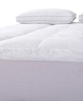Royal Velvet 5" Feather Bed with Cotton Cover