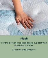 Beautyrest BeautySleep Dream Weaver 13.75" Plush Mattress