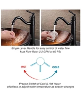 Aquaterior Single Handle Tall Vessel Faucet Bathroom Vanity Tap 2 Packs