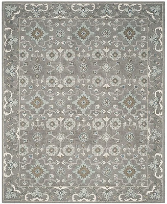 Safavieh Blossom Ii BLM218 8'9x12' Area Rug