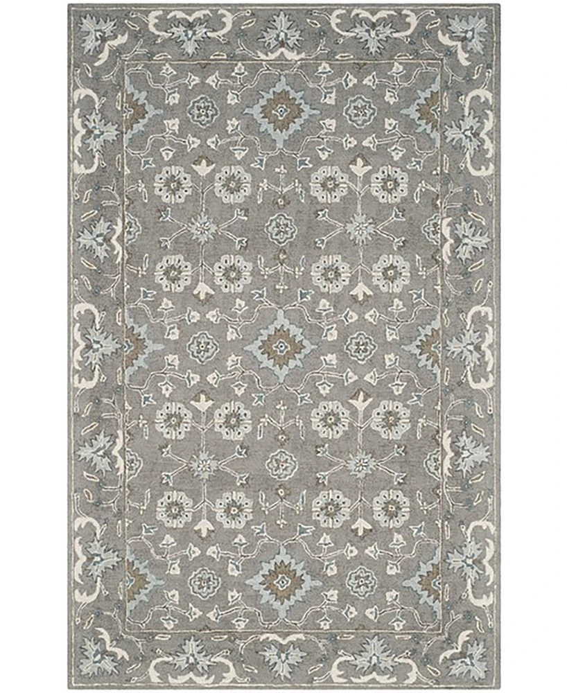 Safavieh Blossom Ii BLM218 4'x6' Area Rug