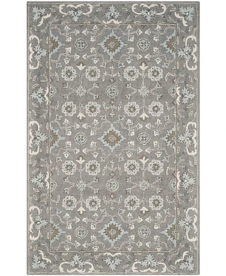 Safavieh Blossom Ii BLM218 4'x6' Area Rug