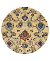 Safavieh Blossom Ii BLM402 4'x4' Round Area Rug