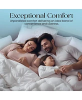 East Coast Bedding Cozy Dream 15% Down and 85% Down Fiber Comforter Twin Size