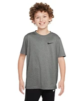 Nike Big Kids Legend Dri-fit Logo Graphic T-Shirt