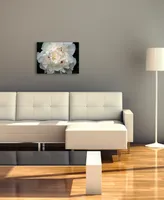 Perfect Peony by Kurt Shaffer Canvas Art