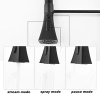 Kitchen Faucet With Pull Down Sprayer