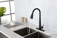 Streamdale Furniture Kitchen Faucets With Pull Down Sprayer, Kitchen Sink Faucet With Pull Out Sprayer