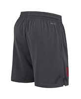 Nike Men's Anthracite Arizona Wildcats 2024 Sideline Mesh Shorts