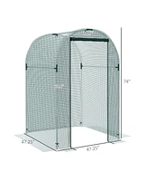 Streamdale Furniture Walk-in Plant Cage with Steel Frame for Garden Protection from Animals