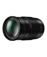 Panasonic Lumix G Vario 100-300mm f/4.0-5.6 Ii Lens for Micro Four Thirds