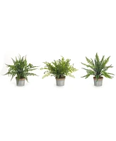 Slickblue Set of 3 Potted Ferns - 14.5 Inches High, Lifelike Artificial Plants in Plastic and Tin Pots for Home Decor
