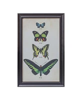 Slickblue Framed Encyclopedia Butterfly Print Under Glass (Set of 2)