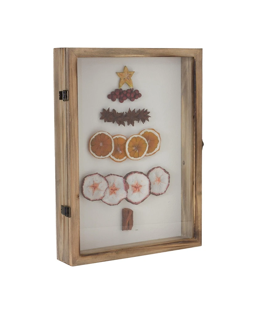 Slickblue Dried Fruit Tree Shadow Box 16"h