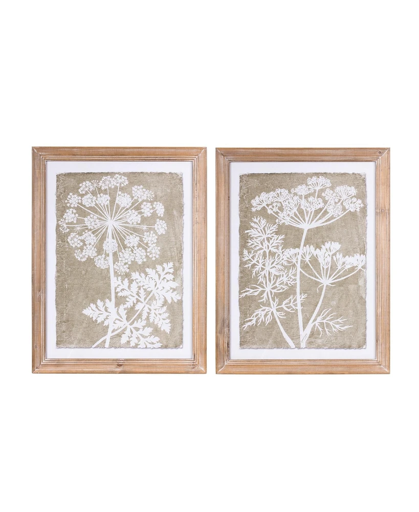 Slickblue Framed Queen Anne's Lace And Fern Wall Art (Set of 2)