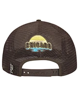 Pro Standard Men's Cream/Brown Chicago Blackhawks Glint Sunset Snapback Hat