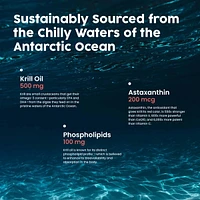 NativePath: Antarctic Krill Oil - Wild-Caught Krill Omega-3 Fatty Acids with Epa and Dha - 30-Day Supply
