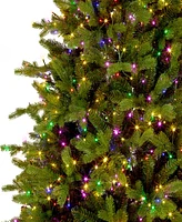 National Tree Company Princeton Fraser Fir Tree, 7.5 feet.