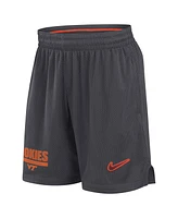 Nike Men's Anthracite Virginia Tech Hokies 2024 Sideline Mesh Shorts