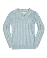 Hope & Henry Baby Boys Long Sleeve Fine Gauge Cable V-Neck Sweater