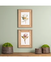Slickblue Protea Print for Elegant Wall Art and Stylish Home Decor (Set of 2)