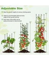 Givimo 2-Pack Garden Trellis Tomato Cage with Adjustable Height