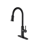 Streamdale Furniture Kitchen Faucet With Pull Out Sprayer