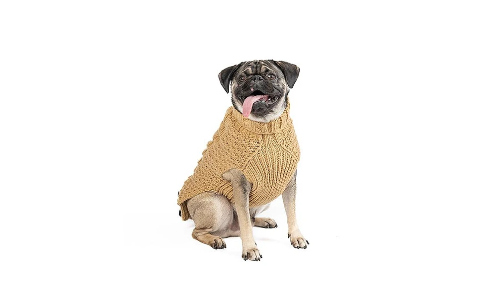 Chilly Dog Camel Alpaca Cable Knit