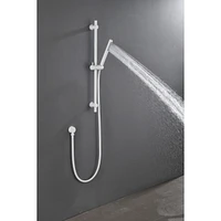 Showers Slide Bar Grab Rail w/ Handheld Shower Head & 69" Hose