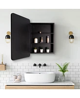 Streamdale Furniture Stylish 20x28" Black Metal Framed Bathroom Mirror Cabinet