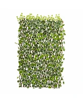 Slickblue English Ivy Expandable Fence Uv Resistant & Waterproof