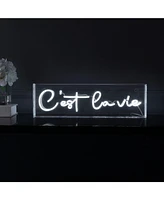 Jonathan Y Cest La Vie Contemporary Glam Acrylic Box Usb Operated Led Neon Light