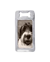 Mariposa Open Dog Bone Frame, 4"x6"