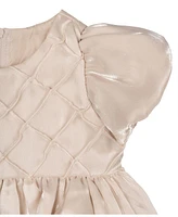 Rare Editions Baby Girl Shimmer Organza Social Dress