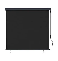 vidaXL Outdoor Roller Blind 63"x98.4" Anthracite