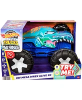 Hot Wheels Monster Trucks Remote-Control Vehicle - Multi